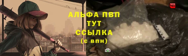 соль ск Новодвинск