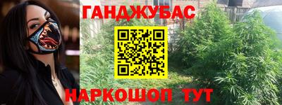 молекула духа Будённовск