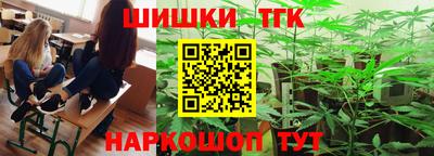 молекула духа Будённовск