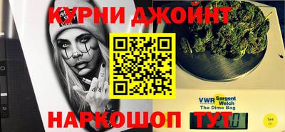 молекула духа Будённовск