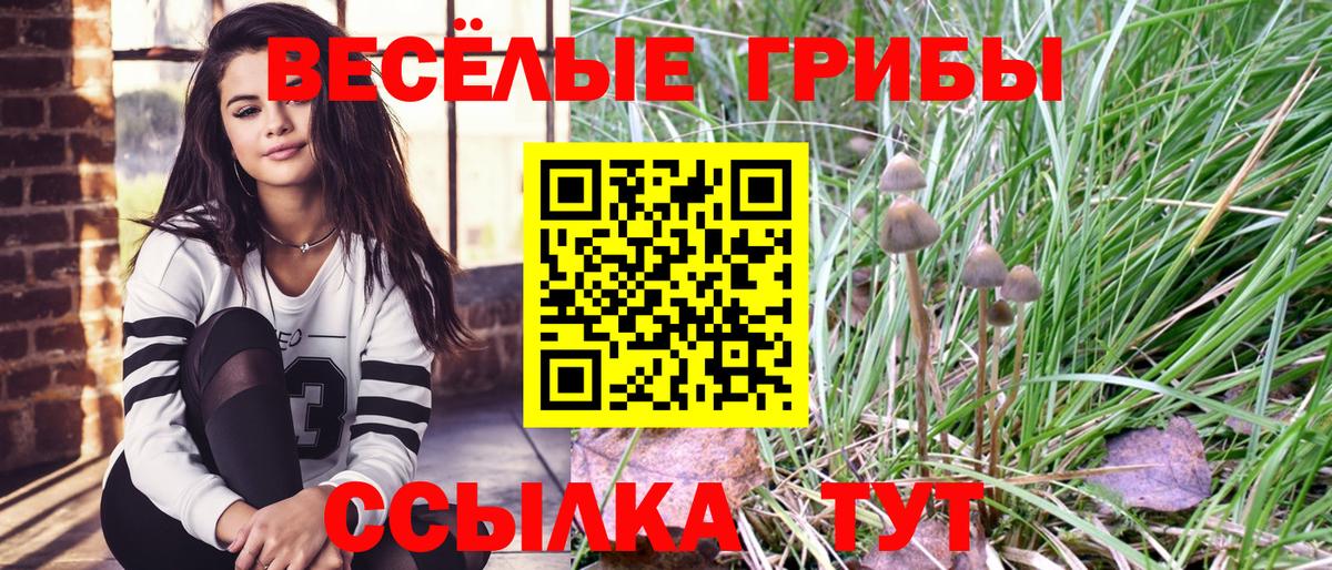 Галлюциногенные грибы Magic Shrooms Прохладный