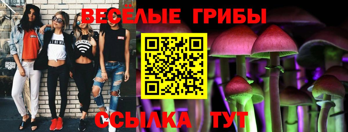 Псилоцибиновые грибы мухоморы  магазин продажи наркотиков  Прохладный 
