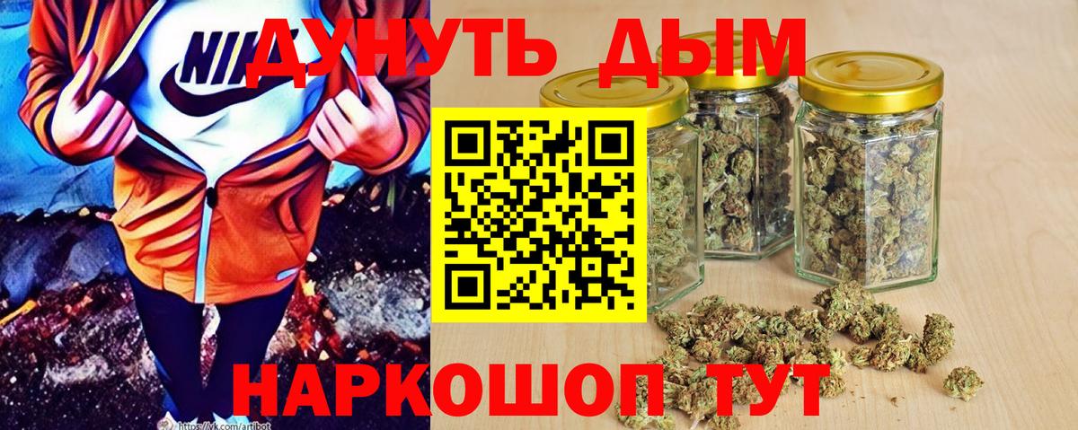 Шишки марихуана гибрид Прохладный